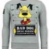 Sudaderas local fanatic | Sudadera Hombre - Bad Dog - Gris